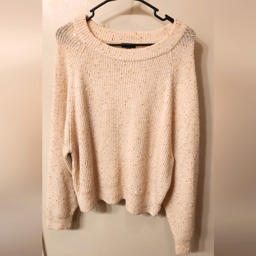 Express XL sequin knit sweater